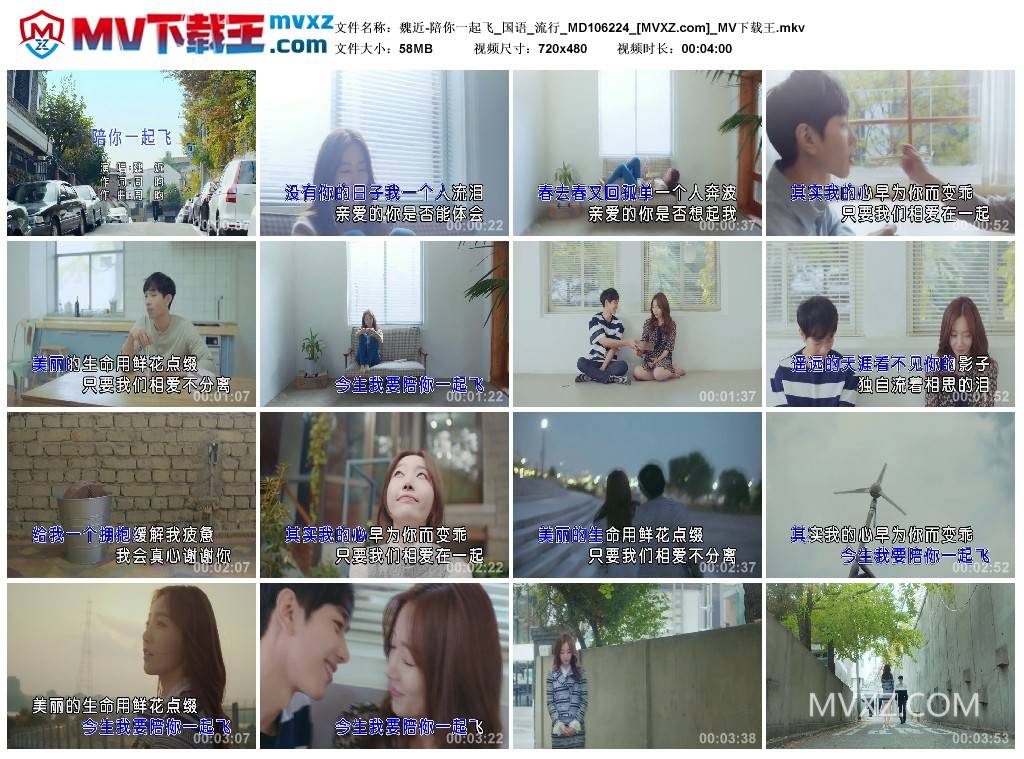 魏近-陪你一起飞_国语_流行_MD106224